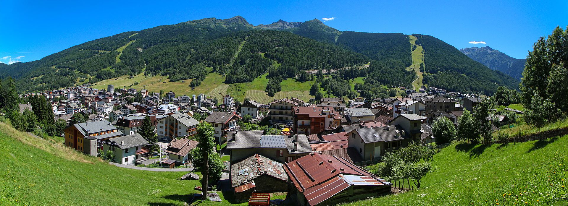Aprica